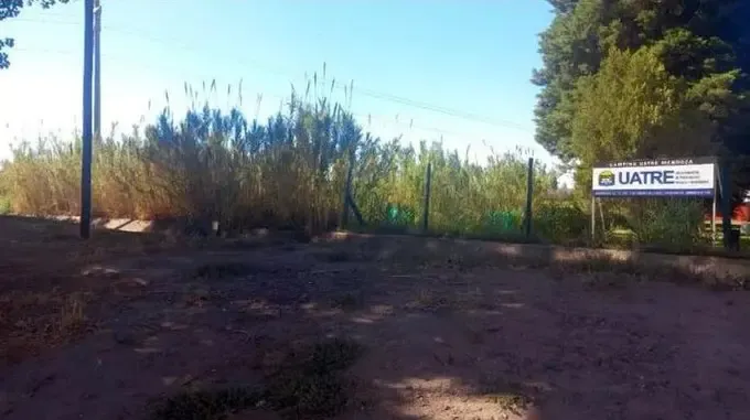 Brutal femicidio: golpeó y arrojó por un balcón a su novia de 15 años