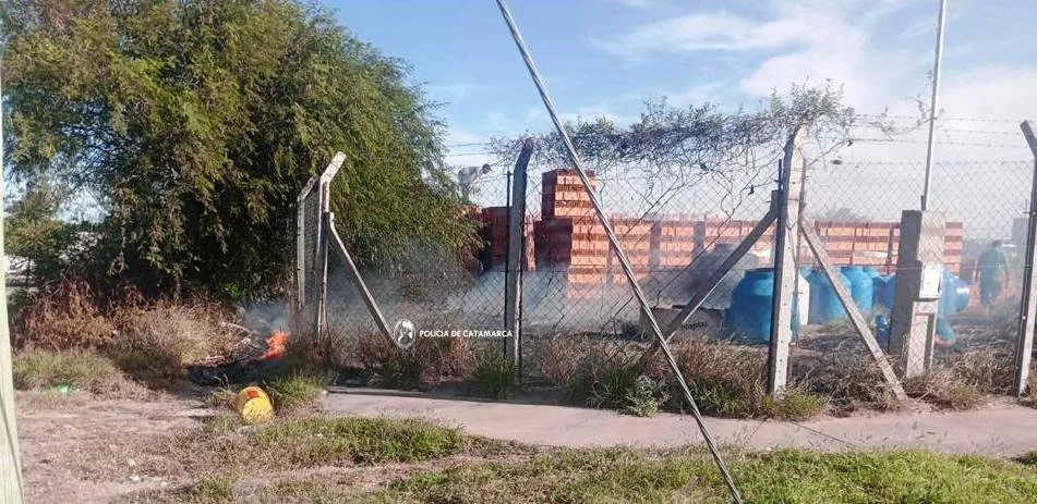 Buscaba agua para sus vacas y descubrió que tenía un tesoro en el campo