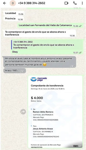 Café molido vs de cápsulas: cuál es más sano