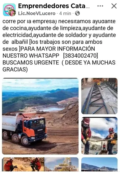 Café molido vs de cápsulas: cuál es más sano