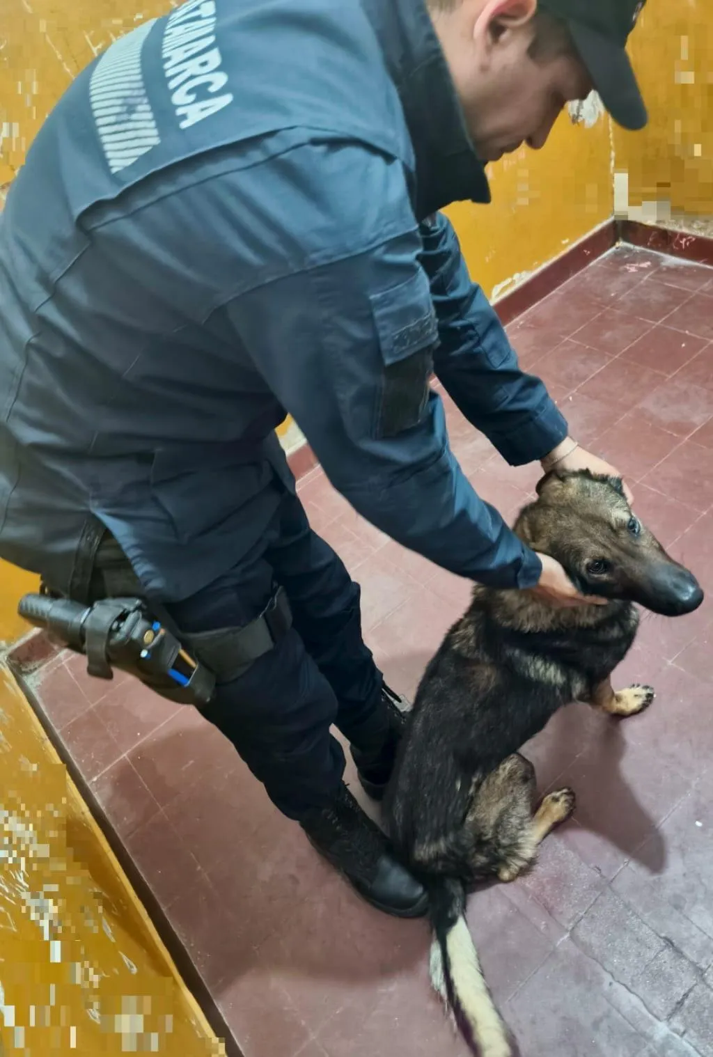 Cambió de género, violó a 7 presas en la cárcel de Bouwer y ahora va a juicio en Córdoba