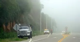 Caminaba por la playa y se encontró con el “bebé” del monstruo del lago Ness