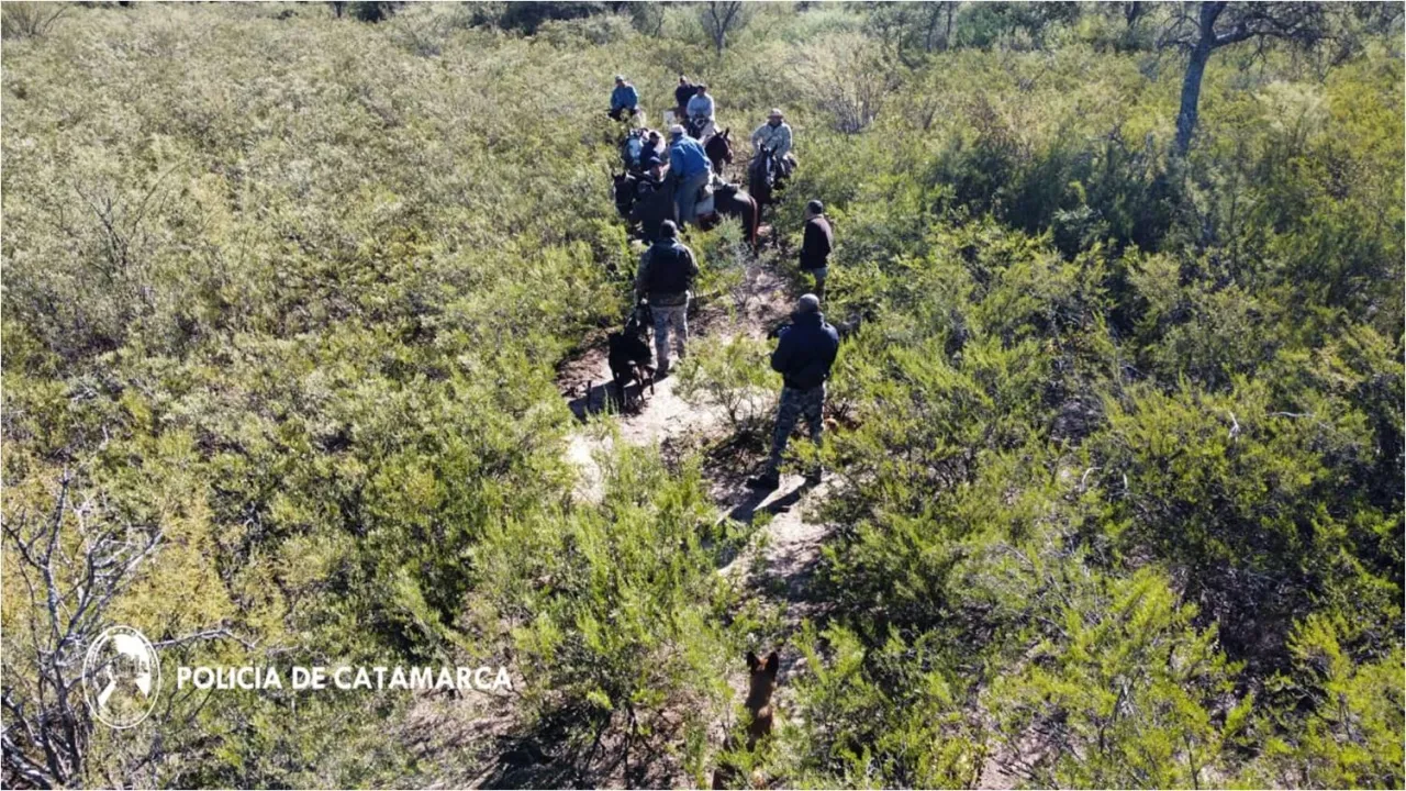 Camión perdió parte de su carga y automovilistas se detenían para llevarse botellas de cerveza