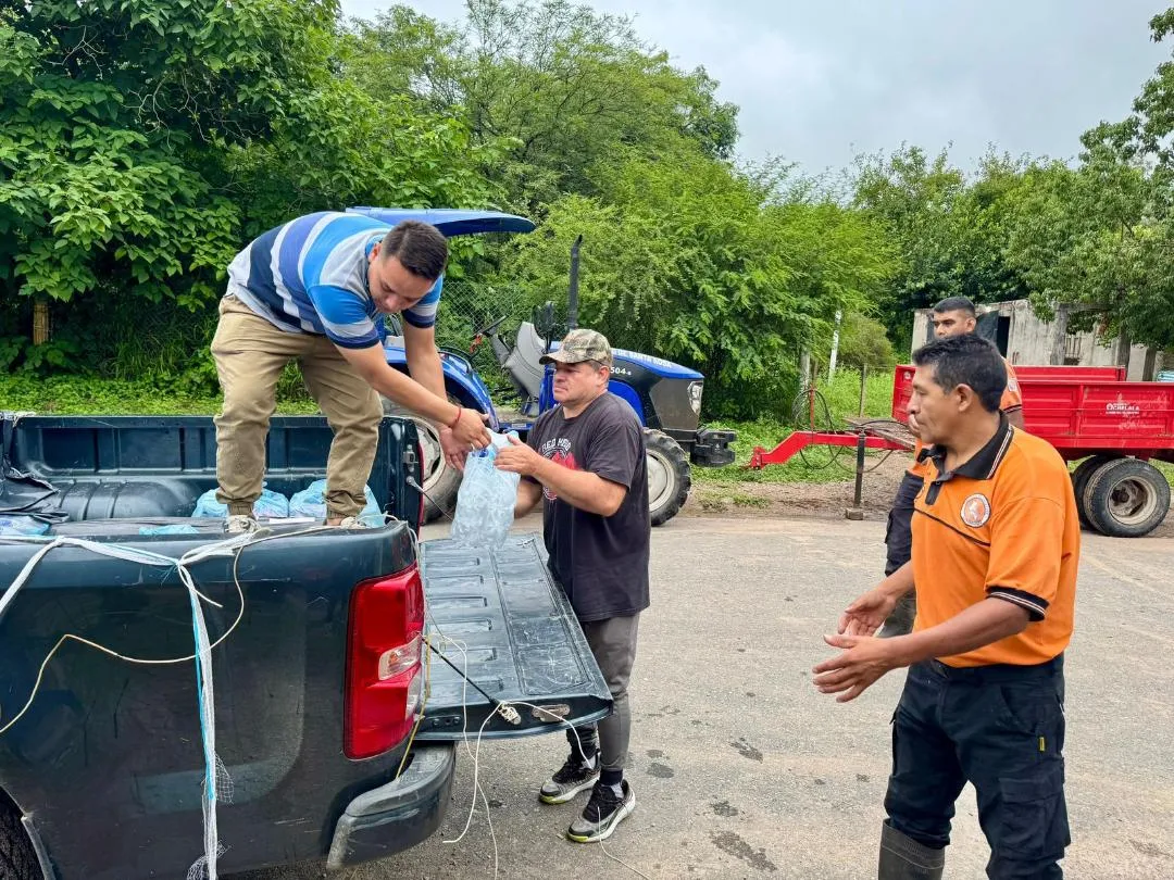 Capturaron una yarará