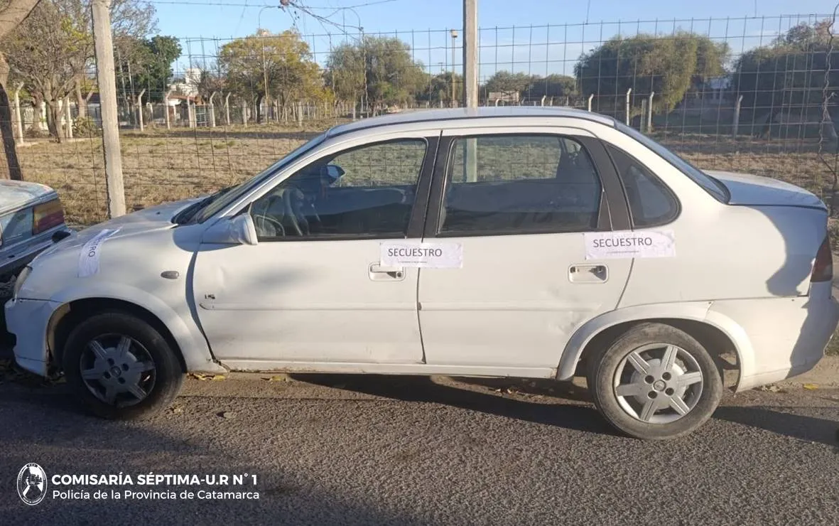 ¿Carpincho o capibara?: la RAE se metió de lleno en esta polémica
