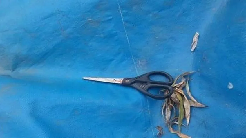 Cartonero murió aplastado por un camión de basura