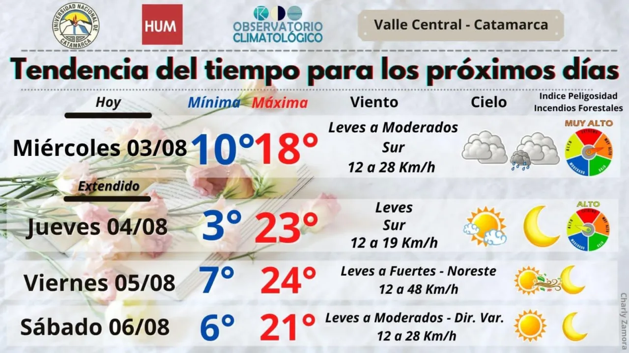 Casas Particulares: cómo solicitar el subsidio estatal al empleo doméstico y cuáles son los requisitos