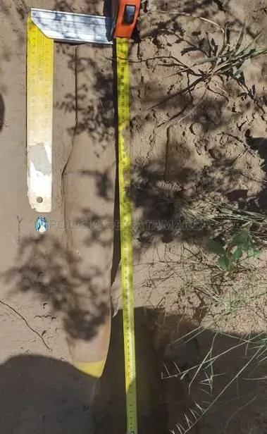 Caso Andrea Navarro: El Juez Morabito asegura que no fueron 37 puñaladas