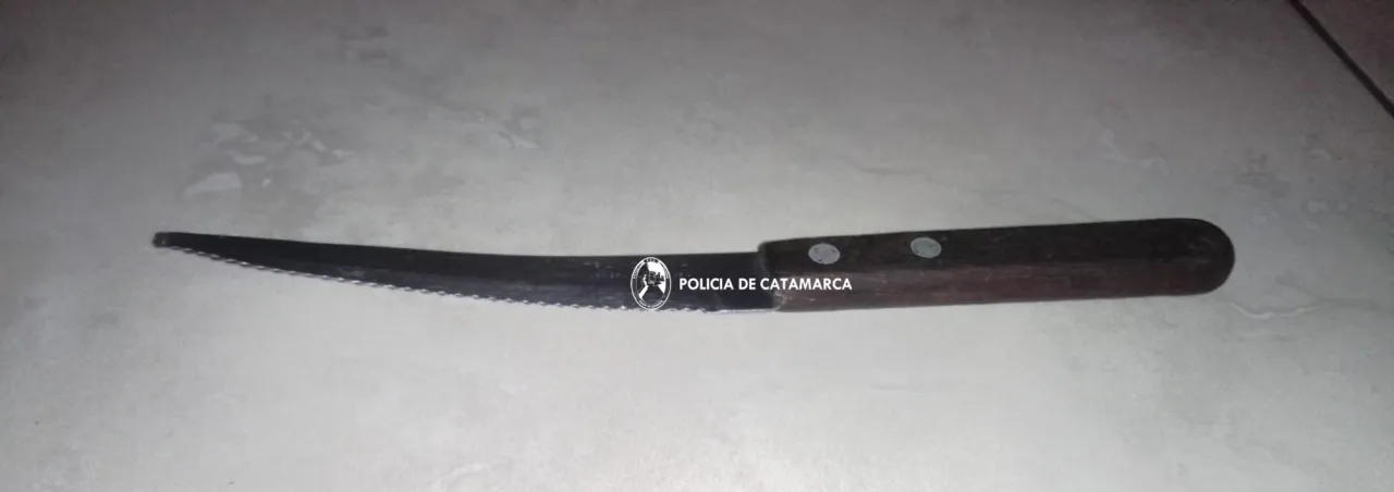 Caso Cecilia Strzyzowski: confirmaron la prisión preventiva de César Sena