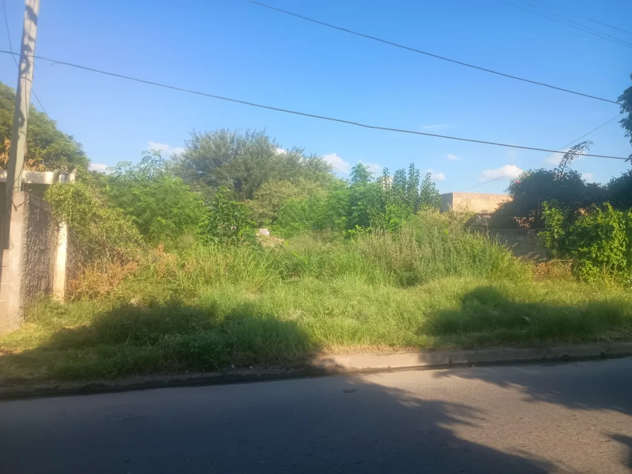 Caso Kim: declaran culpable al joven de 18 años