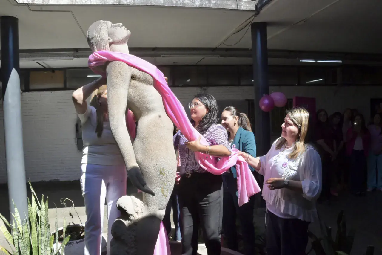 Catamarca disminuyó la mortalidad por cáncer de mama