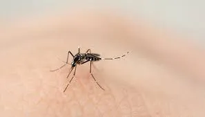 Catamarca registra 3.200 casos activos de COVID-19 y 1 caso de Dengue