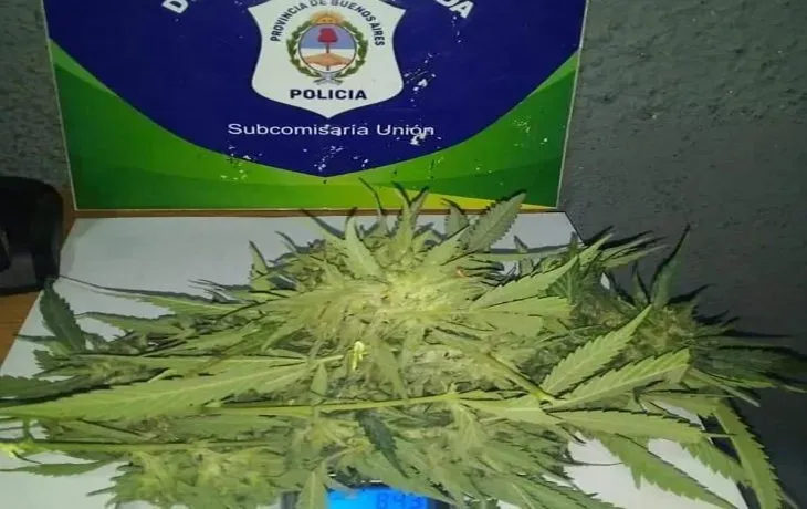 Cayó en el cuento del tío y entregó 5 mil dólares por el supuesto secuestro de su hijo
