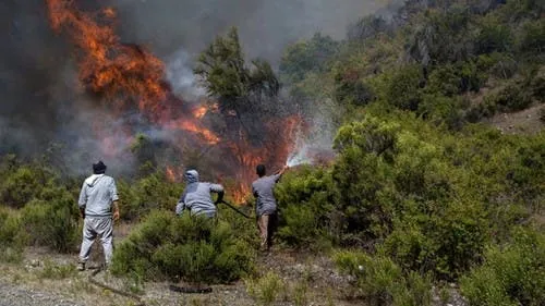 Cazó una corzuela que tenía dos cabezas