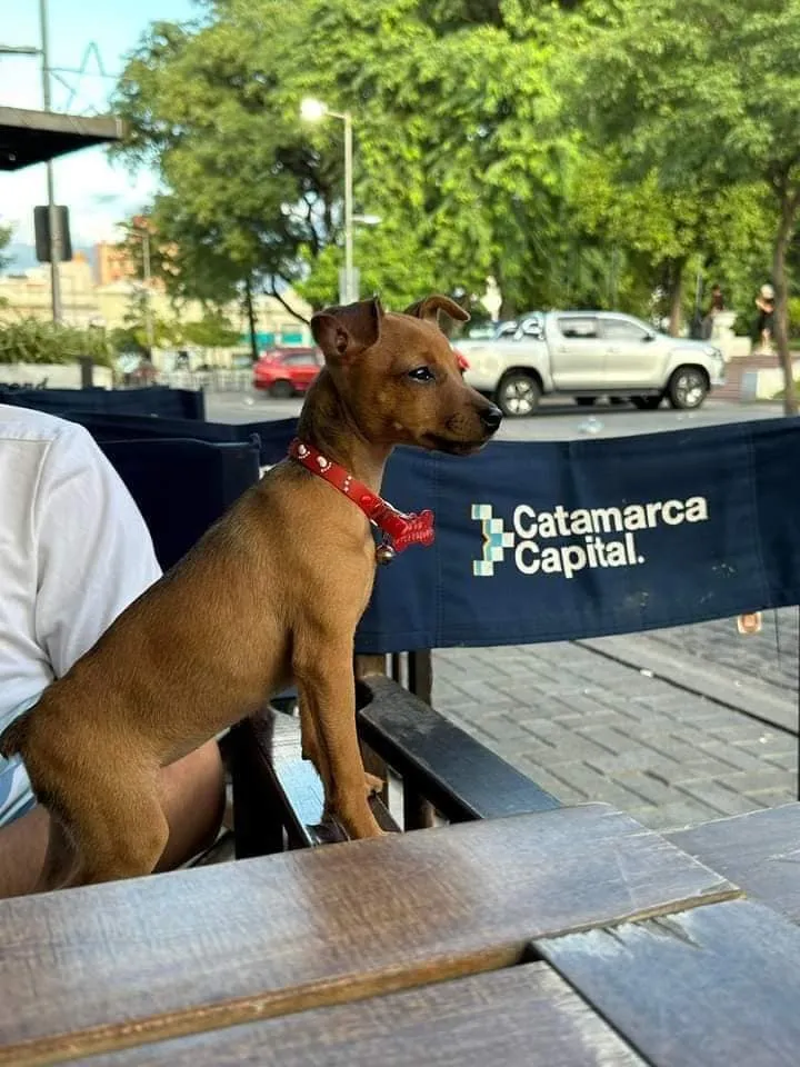 Cedió su gomería al Movimiento Evita para armar un merendero, pero no recibió comida y vive un calvario