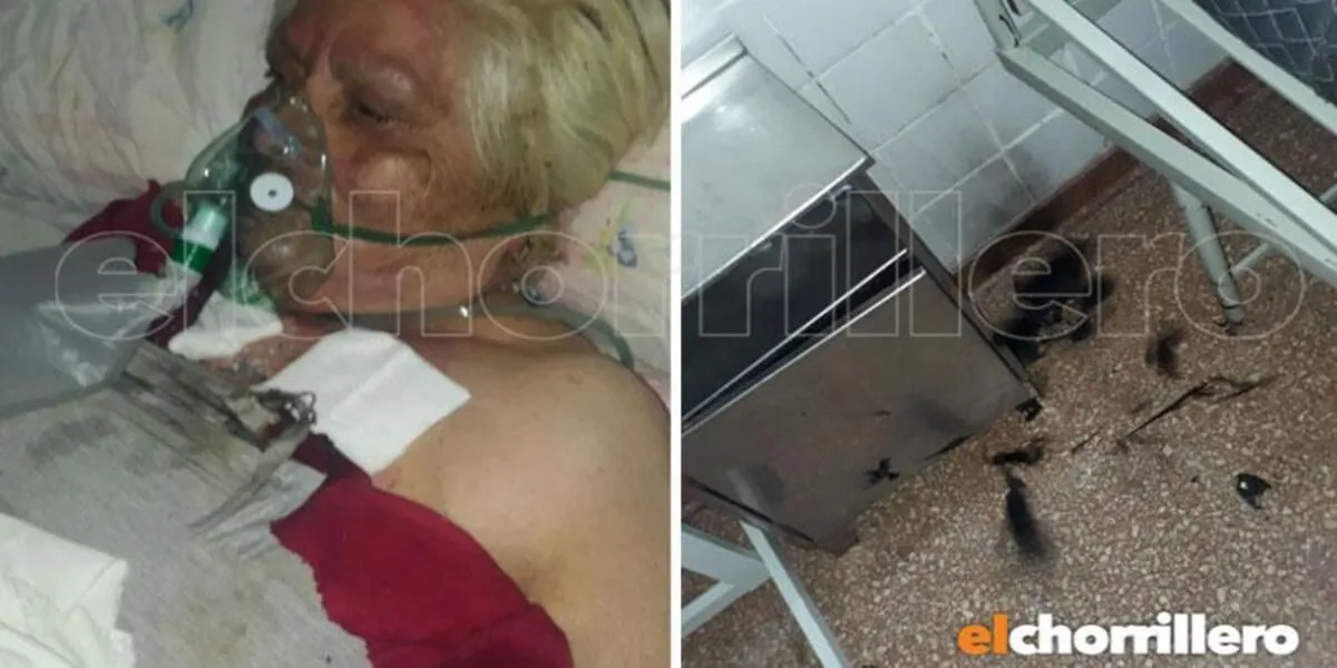 Cepa de Manaos en Formosa: las redes sociales exponen los muertos del grave colapso sanitario