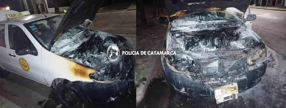 Chocaron contra un árbol y fueron hospitalizados