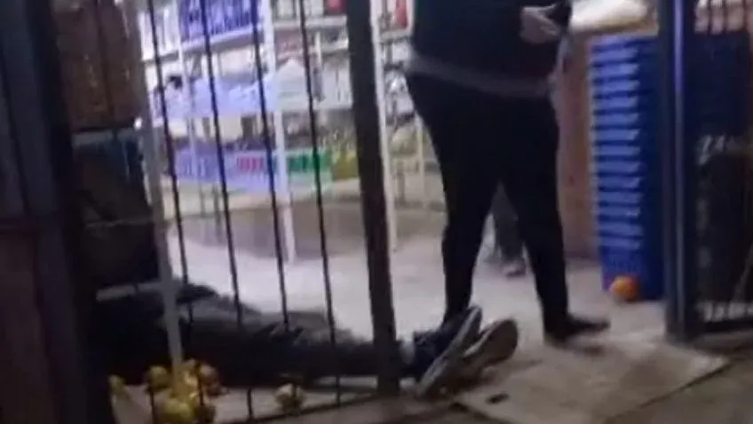 Chocaron contra una yegua y su potrillo
