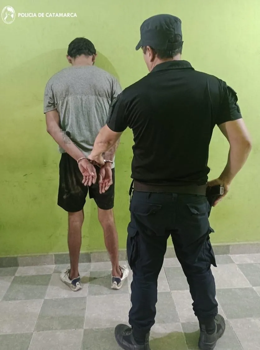 Chocó a un perro y derrapó: El animal murió