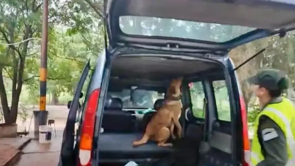 Choque y fuga frente a la Comisaría