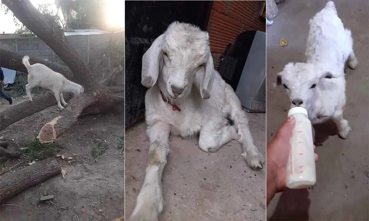 Cierran el ingreso a la Ciudad de Salta por derrumbe en el Cerro San Bernardo
