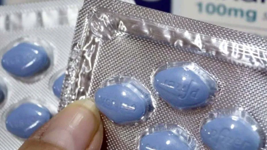Cinco perros dieron positivo de coronavirus