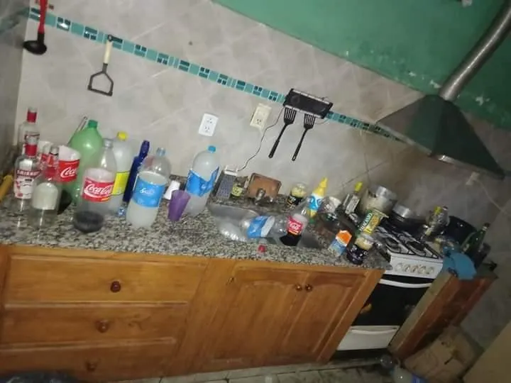 Cinthia Fernandez hizo pis en plena Panamericana