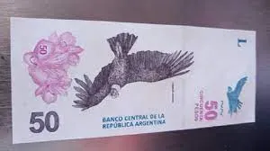 Cirujano de día, transformista de noche: cómo la “Dragtora” conquistó Internet