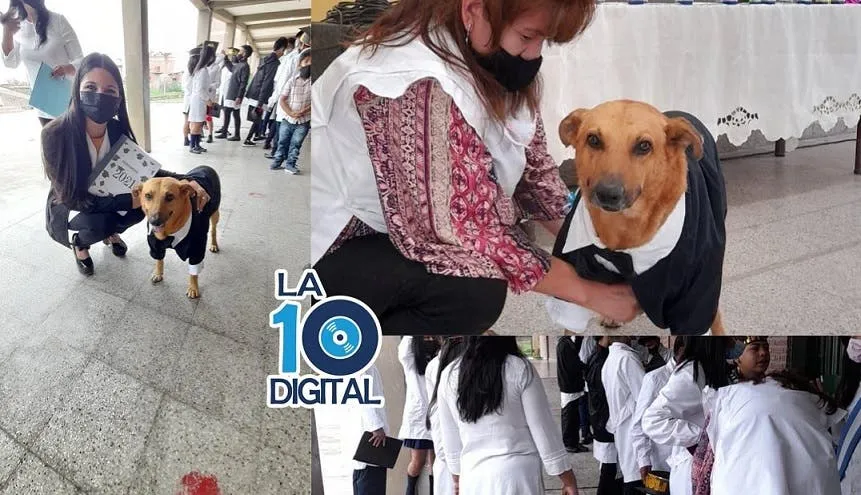 Cómo comer y tomar durante las fiestas