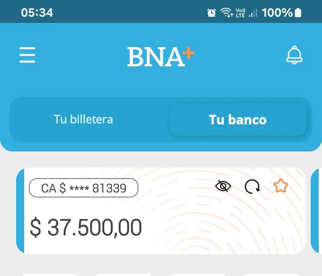 Cómo es el DFI, la fuerza que Milei lanzó como el "FBI argentino"