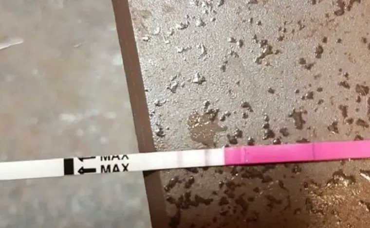 Cómo está hoy y a qué se dedica Paty, la niña que enloquecía de amor a El Chavo
