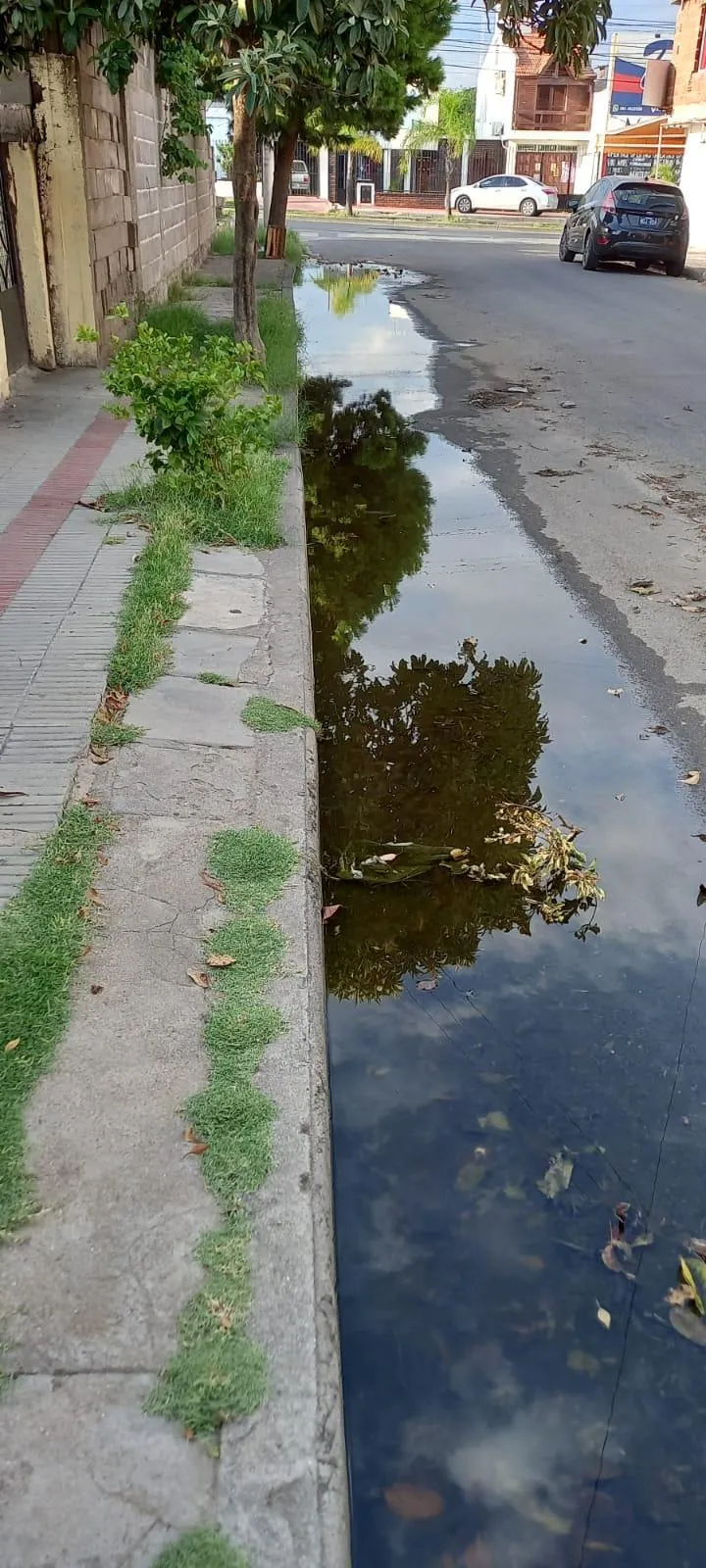 Cómo hacer los famosos Arrolladitos primavera