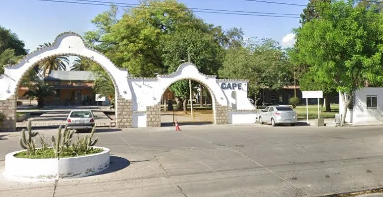 Cómo mantener lejos a las ratas de casa: repelente casero efectivo