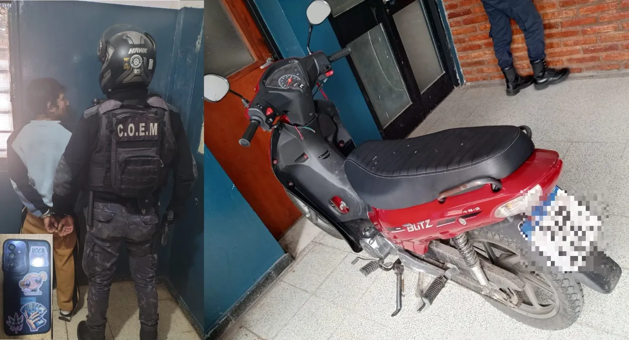 Cómo saber si tu perro es zurdo o diestro en menos de cinco minutos