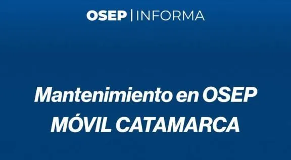Cómo se hace la leche de avena: una receta que trae muchos beneficios para la salud