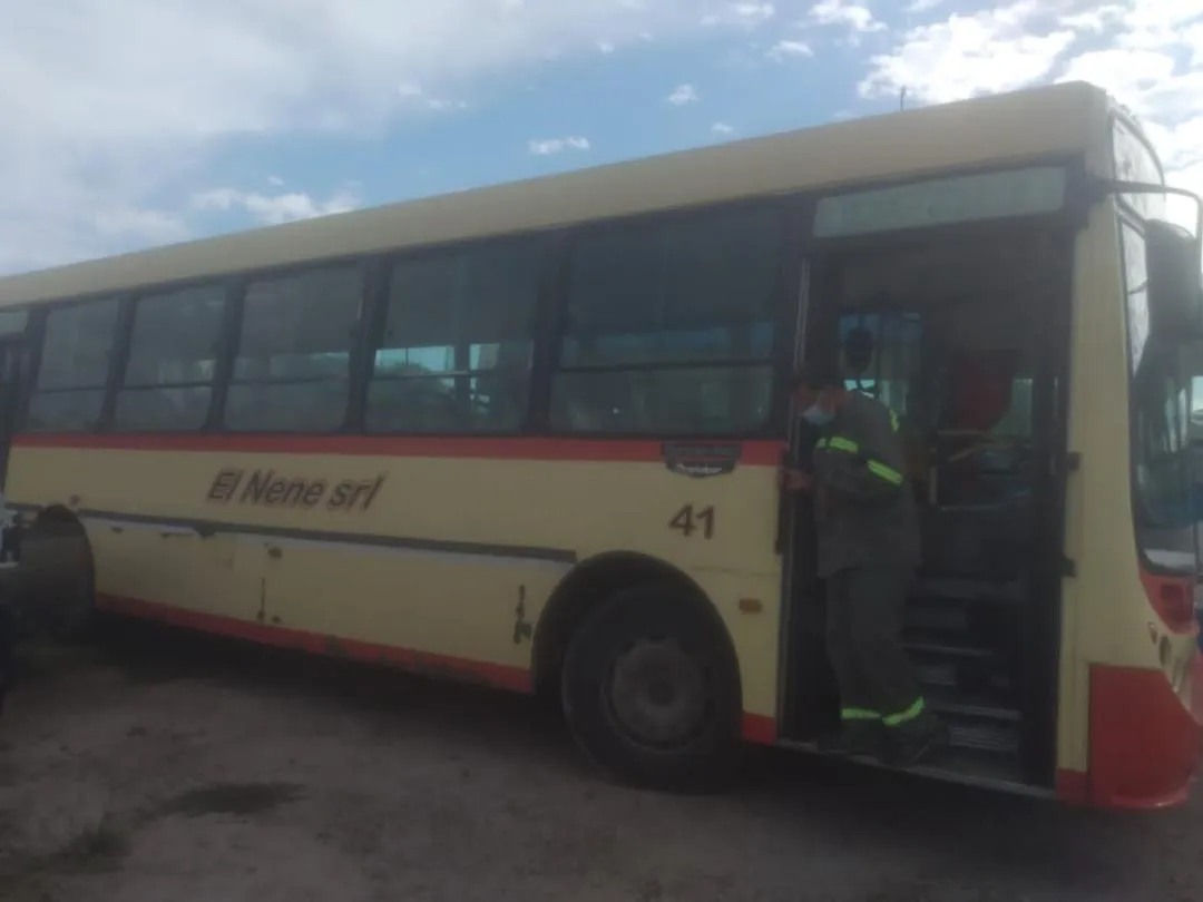 Compró un ají y al abrirlo se encontró con un nido de cucarachas adentro