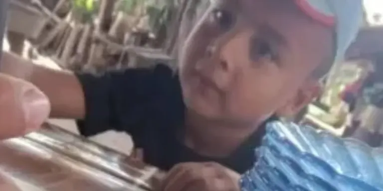 Con apoyo de Milei, tratan la "Ley Conan" contra el maltrato animal