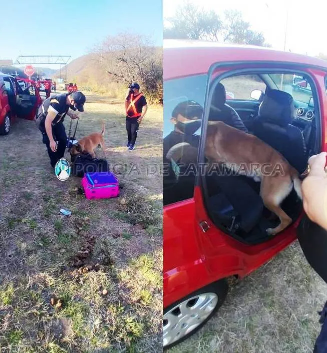 Con un top blanco María Becerra cautivó en Instagram