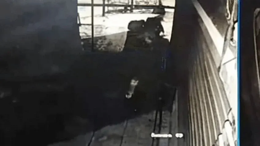 Conductor terminó una discusión de tránsito subiendo al capó para romper el parabrisas de su rival