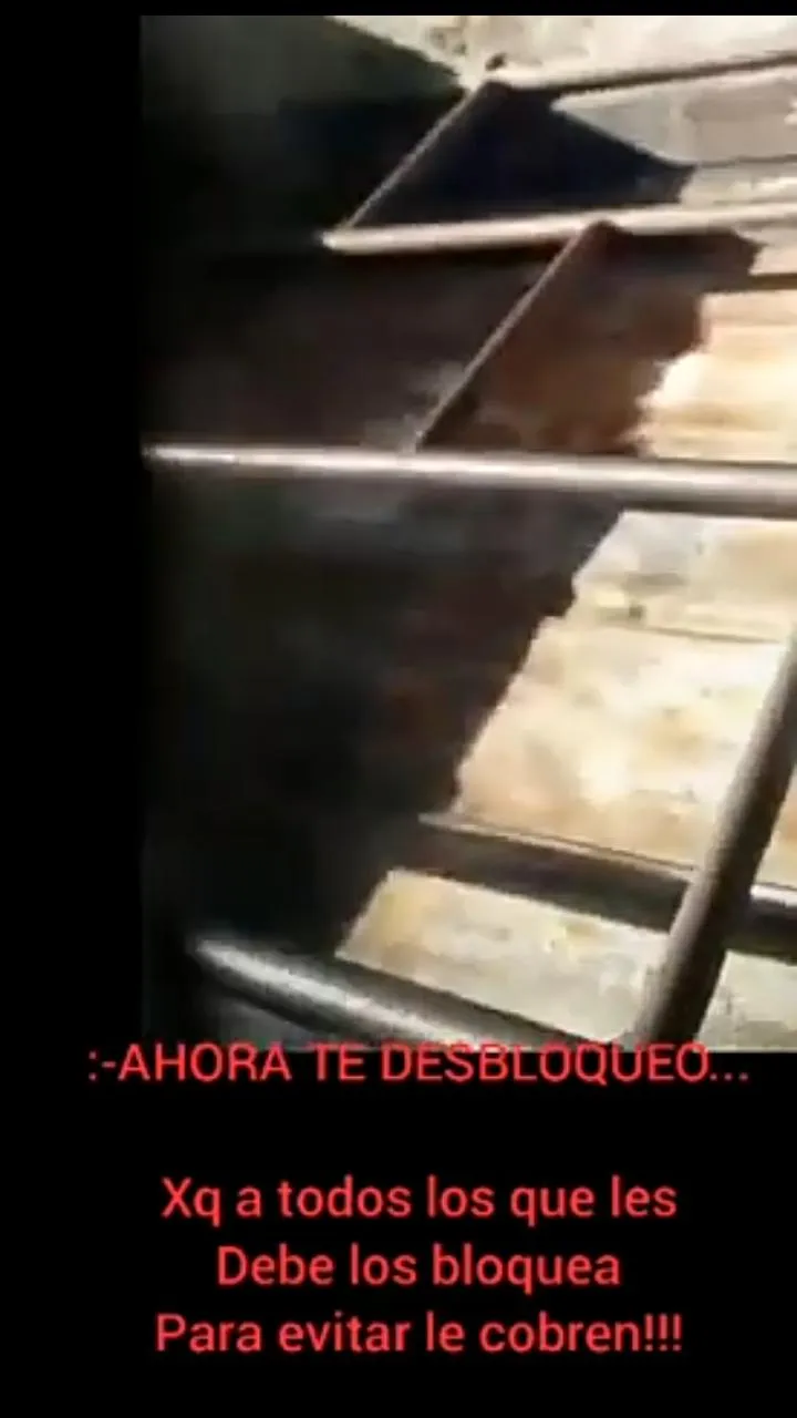 Confirman que un ángel de la guarda salvó a un niño de tres años y hay una imagen que lo demuestra
