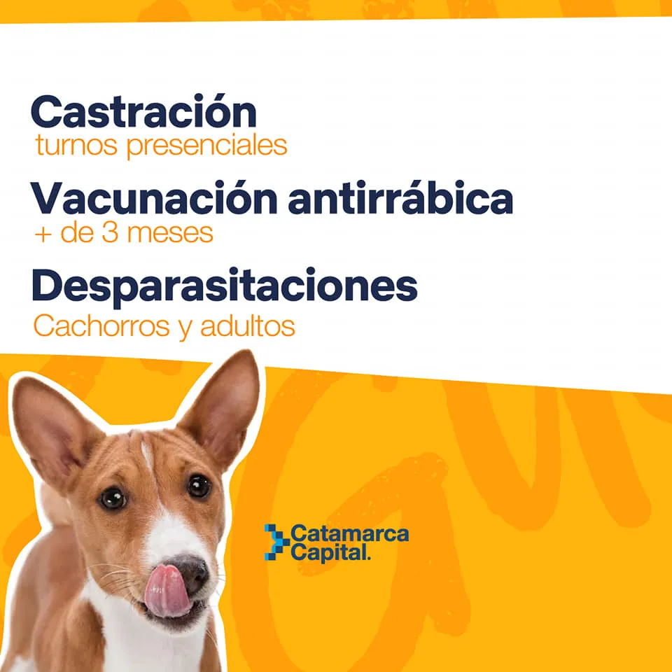 Conmoción en Santiago Del Estero: murió otra menor de 12 años que tenía dengue