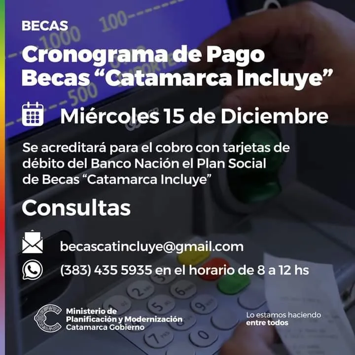 Consejos útiles para cuidar a tu gato en Navidad
