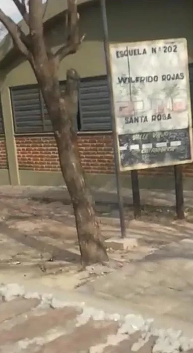 CONTINÚAN MERMANDO LOS CASOS POSITIVOS EN CATAMARCA