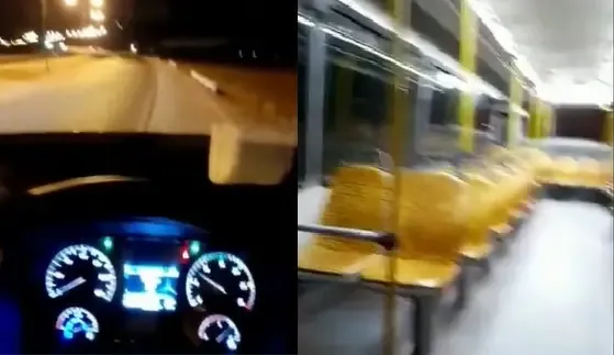 Córdoba: rescataron a un oso melero del sótano de un colegio