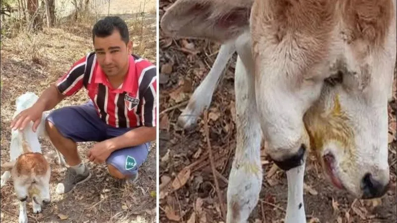 Corte de ruta por un hecho de abuso sexual en un establecimiento escolar