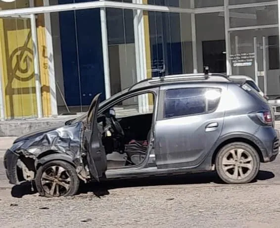 Crece en EEUU una rara alergia a la carne asociada a las garrapatas