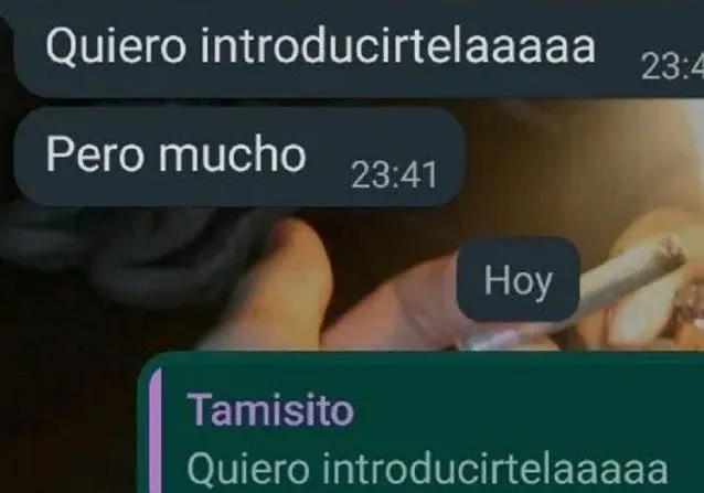 Cuál es el abultado sueldo de Sofía Pacchi como asesora de Fabiola Yáñez