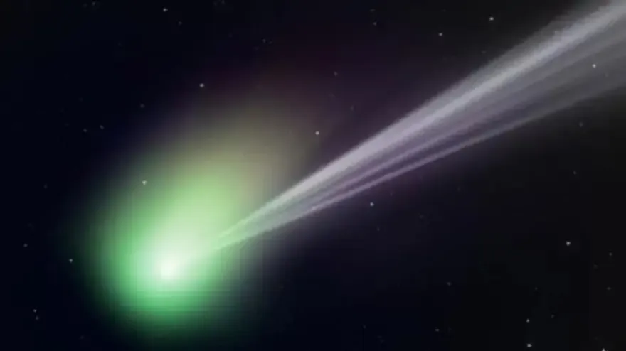 Cuál es el signo del zodiaco más querido por todos