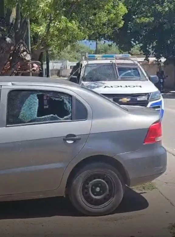 Déficit de hierro en el embarazo, una condición que afecta al 30% de las mujeres