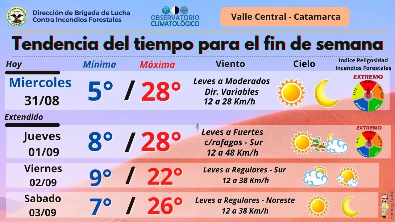 Dejó de ir a la escuela porque la obra social no paga su acompañante terapéutica